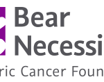 Bear Necessities Pediatric Cancer Foundation