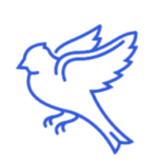 The Jaybird Learning Academy, Inc