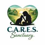 C.A.R.E.S Cat Allies Rescuing & Empowering Survivors